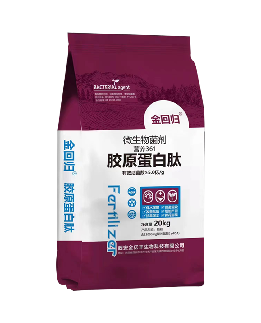 胶原蛋白肽.png