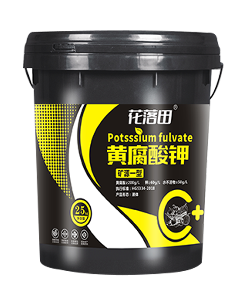 黄腐酸钾矿源一型.png